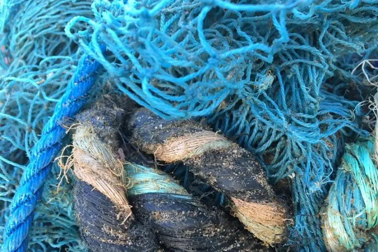 Portions of ghost gear washed ashore on the sandy beach of Puthenthope village in Thiruvananthapuram. Photo by Max Martin.