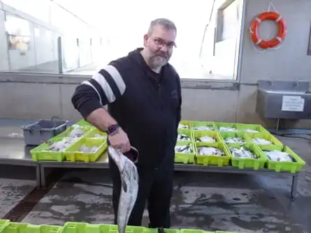 Local fishmonger Manuel Domínguez