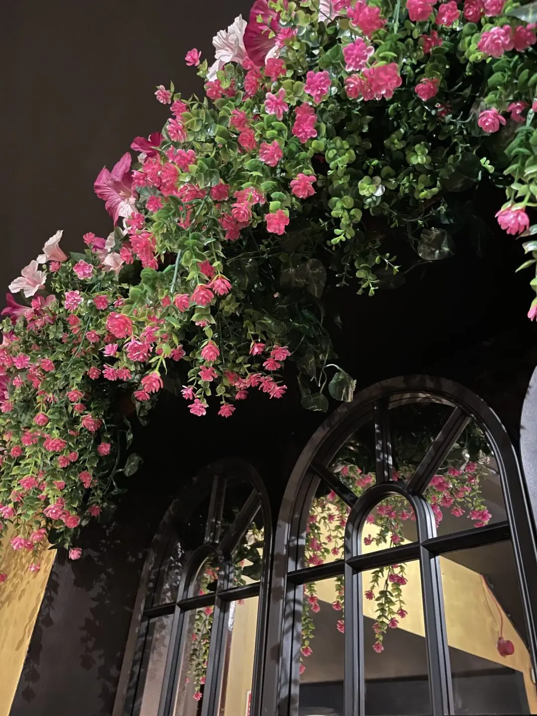 The flowing pink flowers next to our table at the Skene Street restaurant.