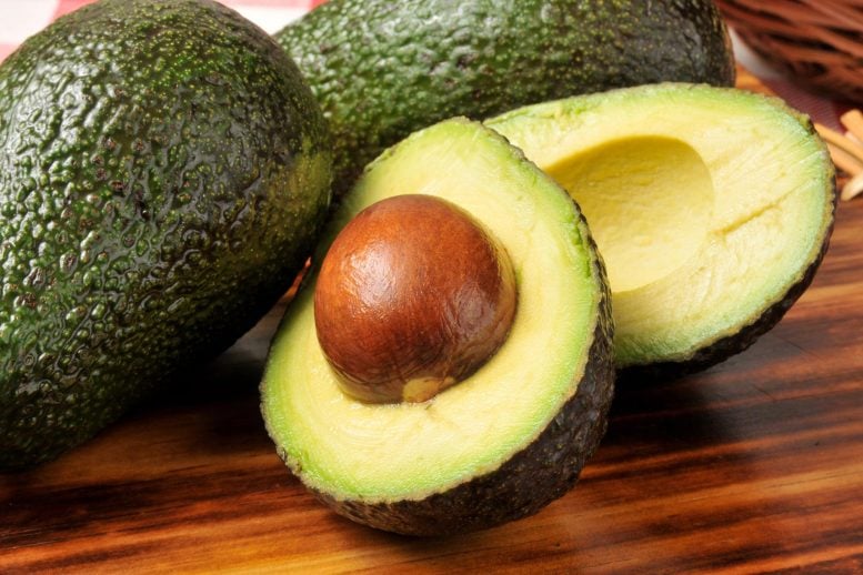 The Power of an Avocado – Scientists Discover Simple Trick To Improve Diet Quality