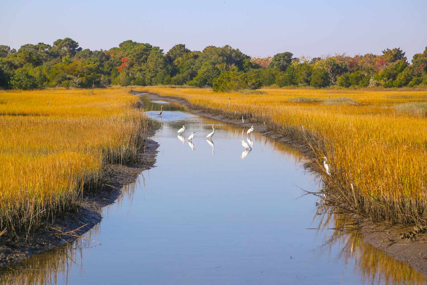 This Small South Carolina Island Has 10 Miles of Pristine Beaches and One of the Best Resorts in the State