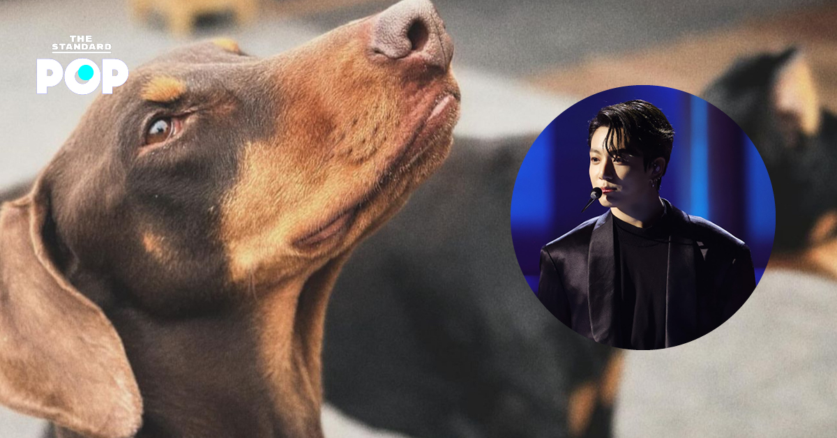 Jungkook วง BTS เปิดเพจ Instagram ให้สุนัขตัวเอง เกิน 2.5 ล้านฟอลโลเวอร์