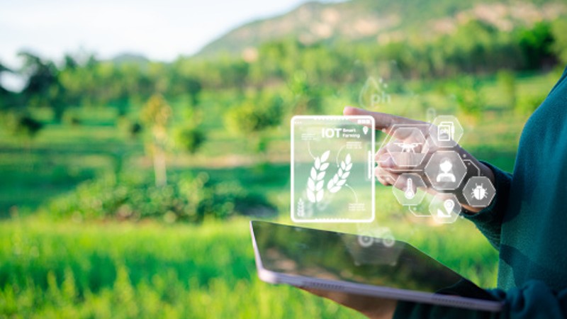 Digital development: Food brands play ‘critical role’ in shifting agrifood system towards modernisation and sustainability