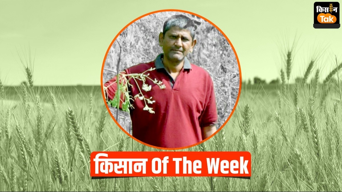 किसान Of The Week: यूट्यूब से खेती सीख कर लखपति बन गए अनिल वर्मा, सहजन ने बढ़ाई कमाई