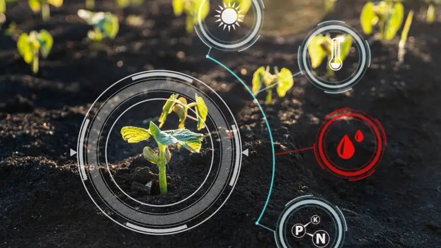Smart Farming and AI Photo Leonid - stock.adobe.com