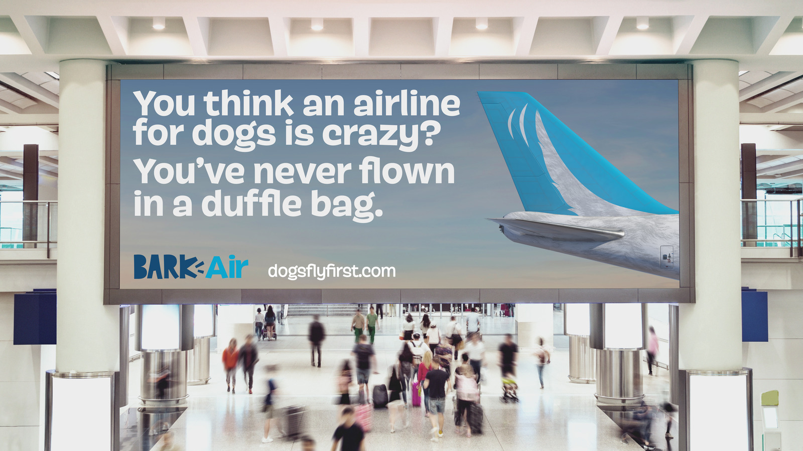 Dog-Centric Airline, Bark Air, to Debut May 2024