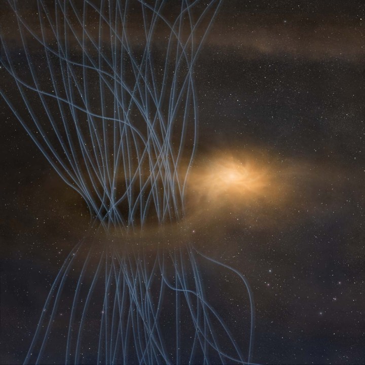 Japanese scientists do a bit of time travel