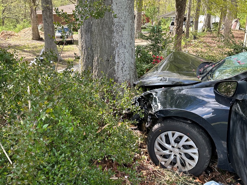 Driver injured as car smashes through fence and slams into tree