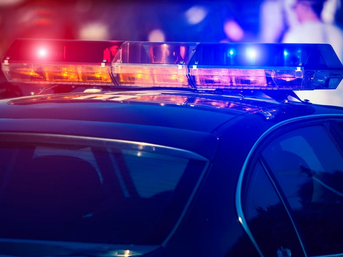 Man Threw Bricks At Car, Causing It To Crash In Ledyard: Police