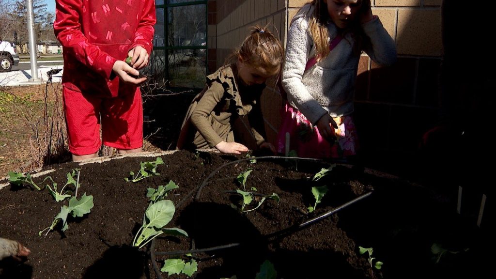 Crystal’s Edible Courtyard Helps Combat High Food Prices
