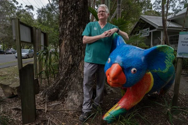 Dr. Michael Pyne, in a green scrub shirt and gray pants, stands in front of a tree and leans against an oversize statue of a koala that is painted blue, orange and green.