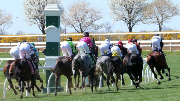 Where to Watch/Listen: Horse Racing Coverage April 17-21