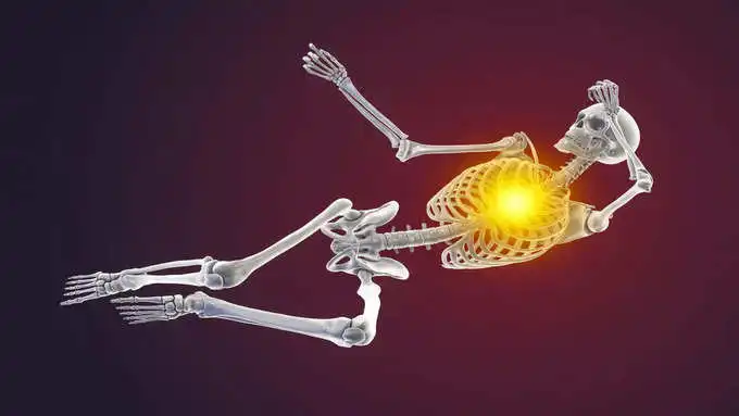 हर अंग के लिए प्रोटीन जरूरी हर अंग के लिए प्रोटीन जरूरी