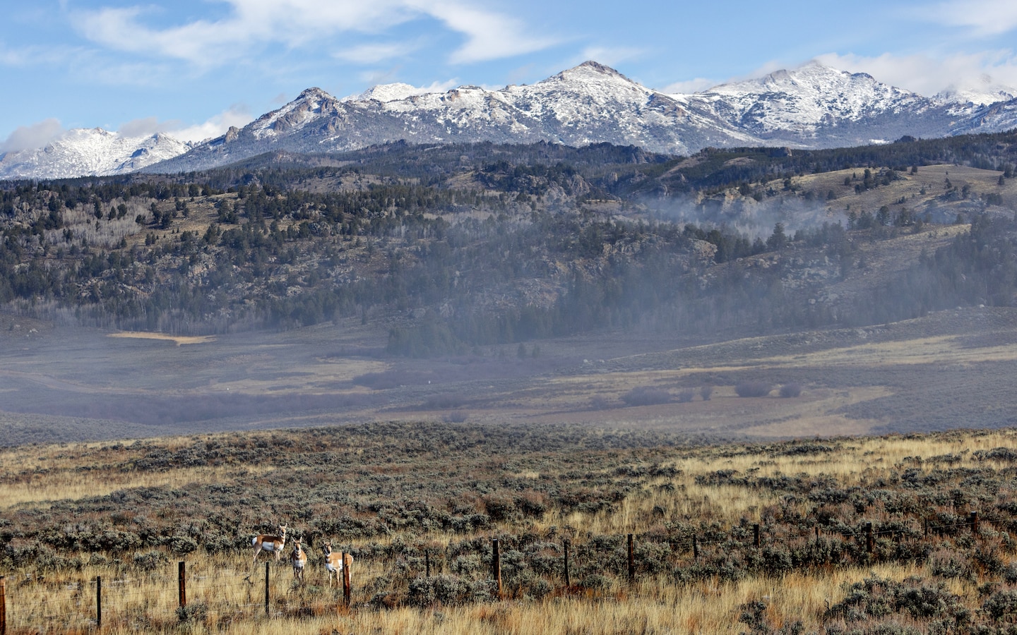 The U.S. just changed how it manages a tenth of its land