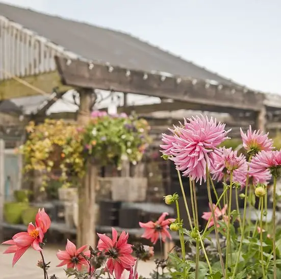 terrain garden shop