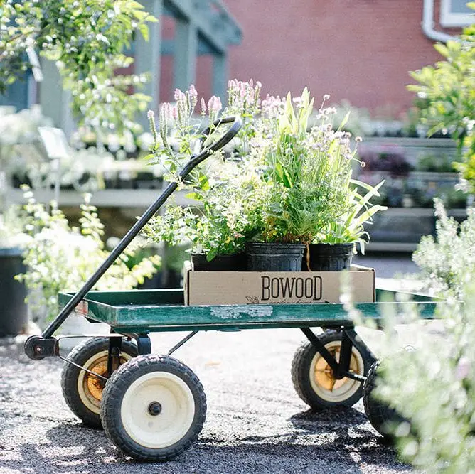 bowood farms garden shop