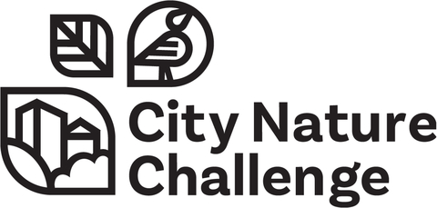 UMass Amherst Libraries Bring City Nature Challenge Back to Western Massachusetts