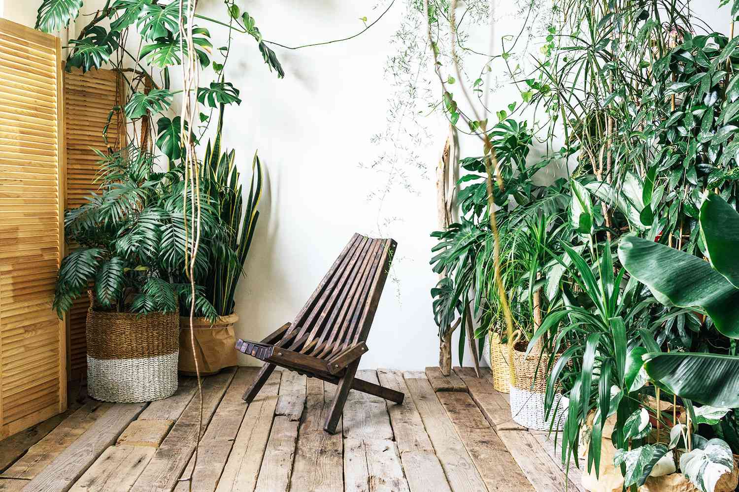 7 Design Trends That Will Make Your Home More Sustainable