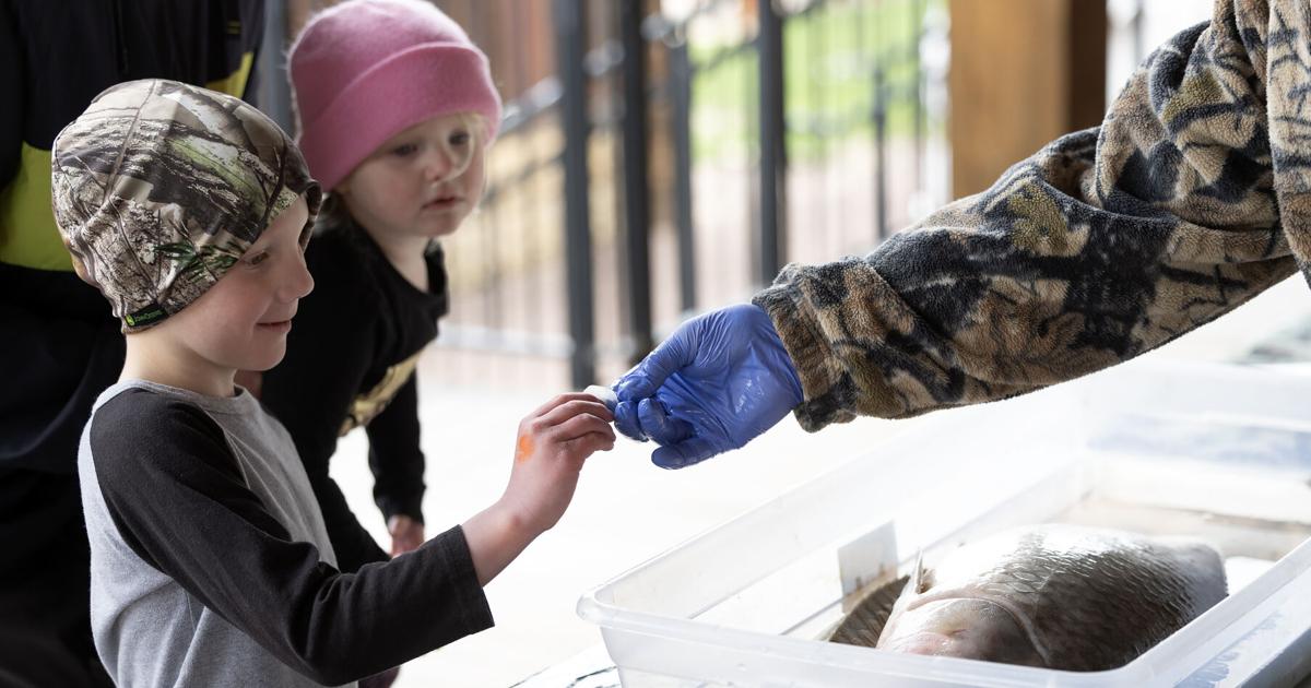 Dubuque museum’s Party for the Planet spotlights conservation, environment