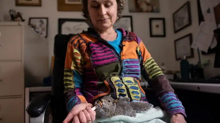 Noelle Dunlop feeds a baby squirrel earlier this month.