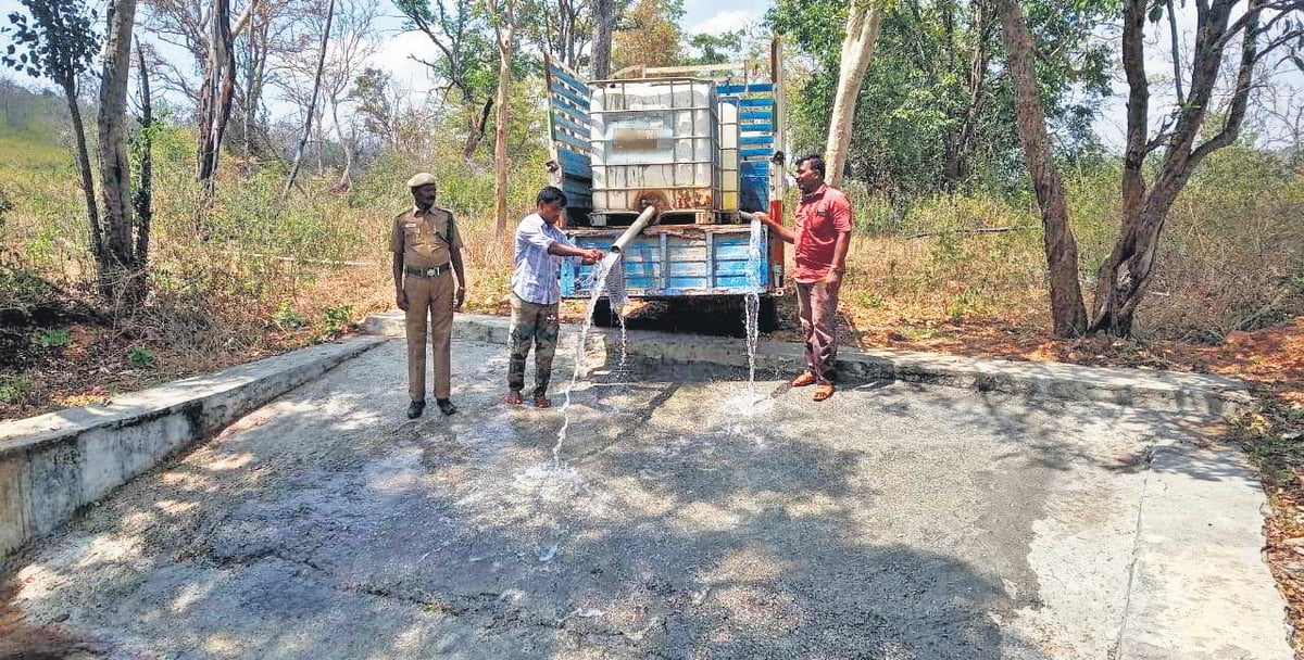 Tamil Nadu: ‘Water the wildlife’ aims to prevent human-animal conflict