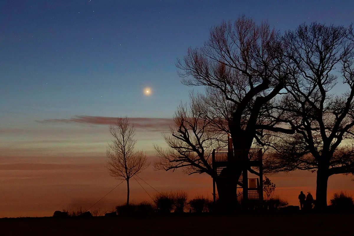 Your average star chart won't for example, tell you where Venus can be found on a particular morning from your location, but astronomy stargazing apps will. Credit: Wirestock/iStock/Getty Images