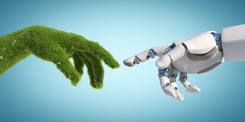 Is AI a Blessing or Curse for the Environment?