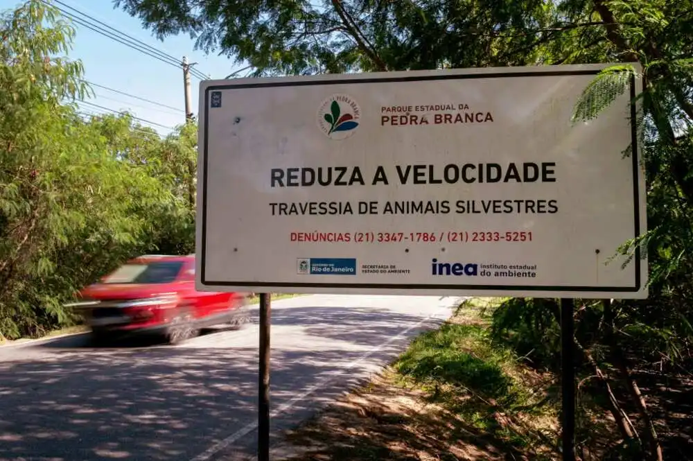 Signs on several main roads urge drivers to reduce speed due to the risk of wild animals crossing Signs on several main roads urge drivers to reduce speed due to the risk of wild animals crossing