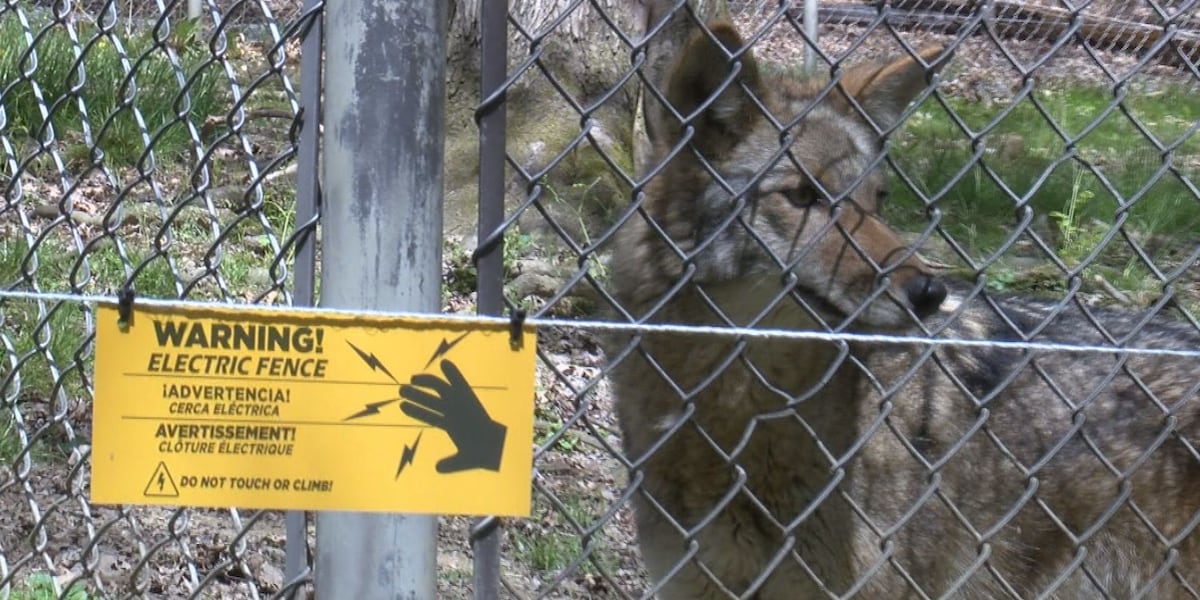 WV State Wildlife Center reopens after meeting federal regulations