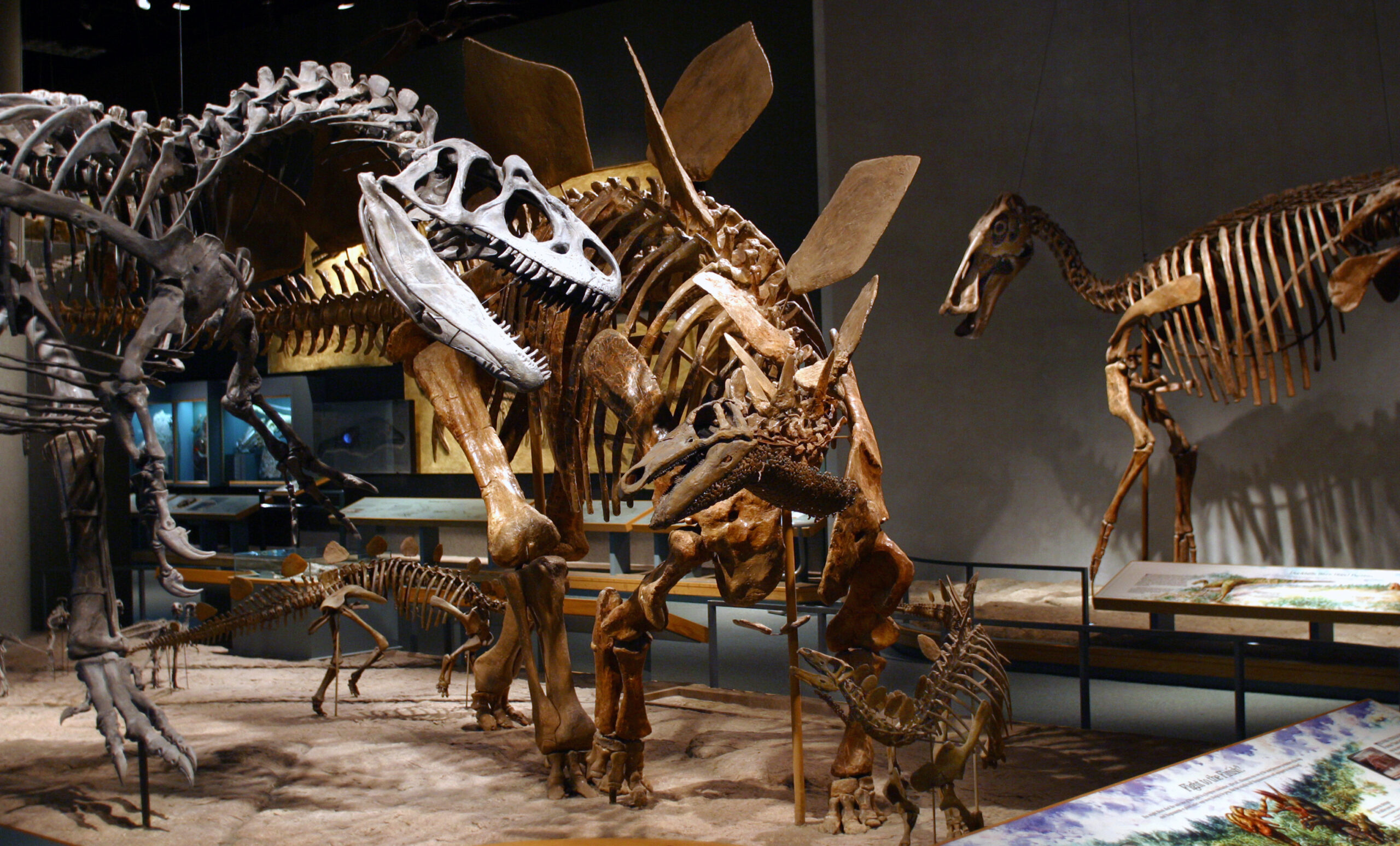 Admission to the Denver Museum of Nature & Science is FREE this weekend