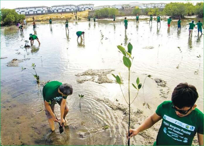 PDO champions environmental conservation in projects