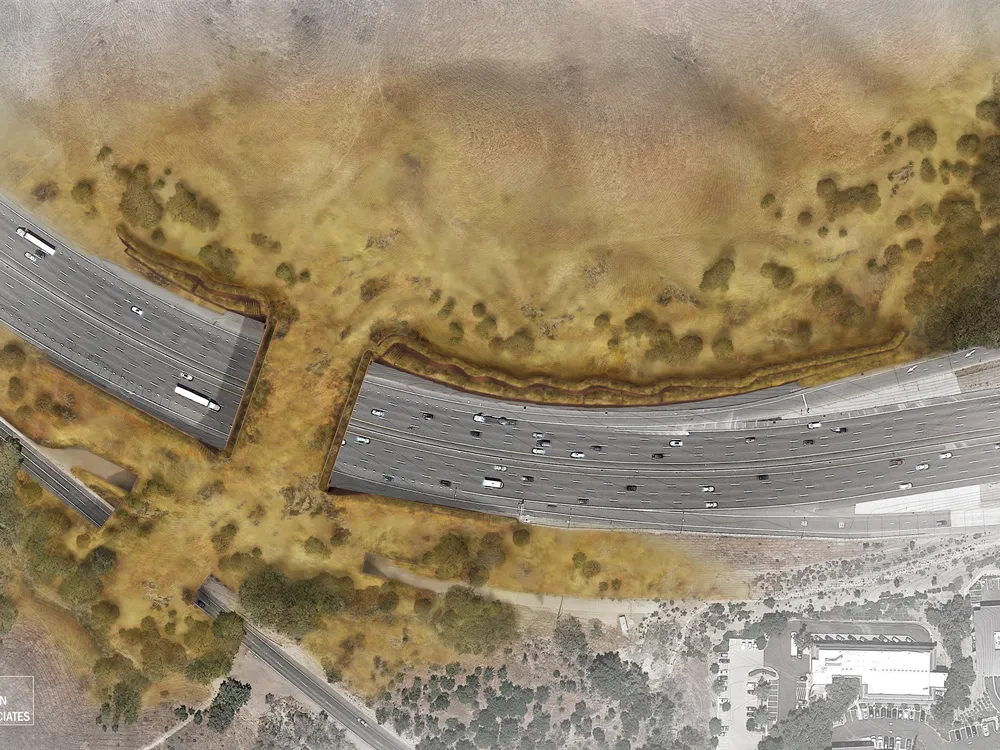 The ‘World’s Largest Wildlife Crossing’ Will Help Animals Walk Safely Over Eight Lanes of California Traffic