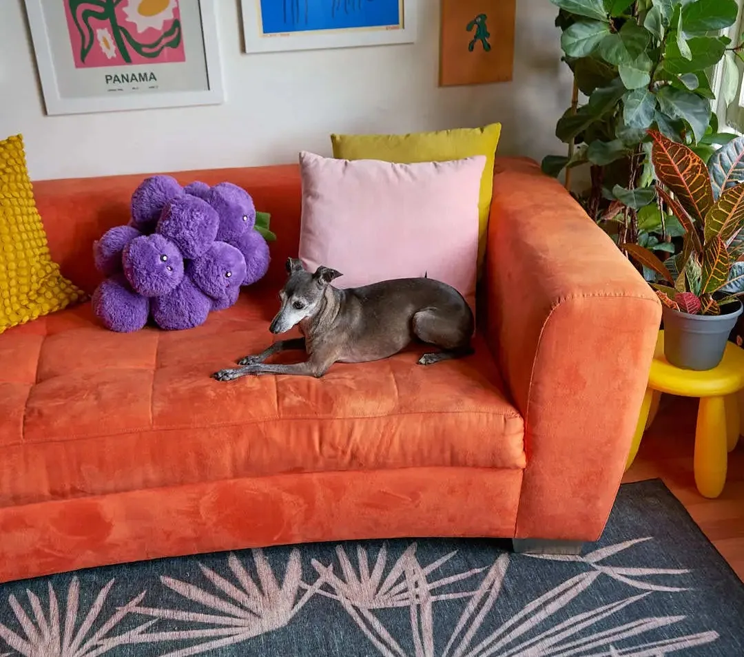 Browning recommended adding colorful throw cushions to your living room couch