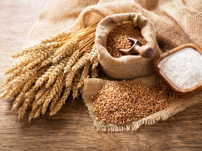 whole wheat bran germ flour whole wheat bran germ flour