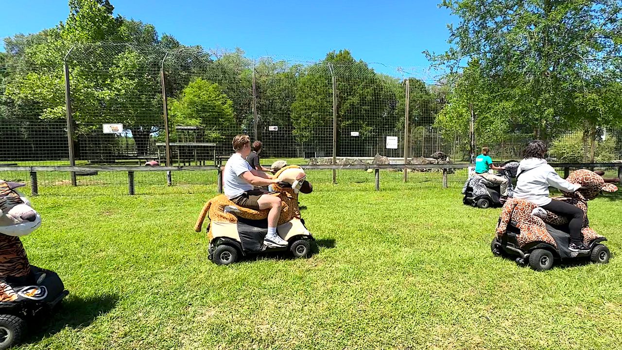 Visitors use scooters to see exotic animals at Carson Springs Wildlife Sanctuary