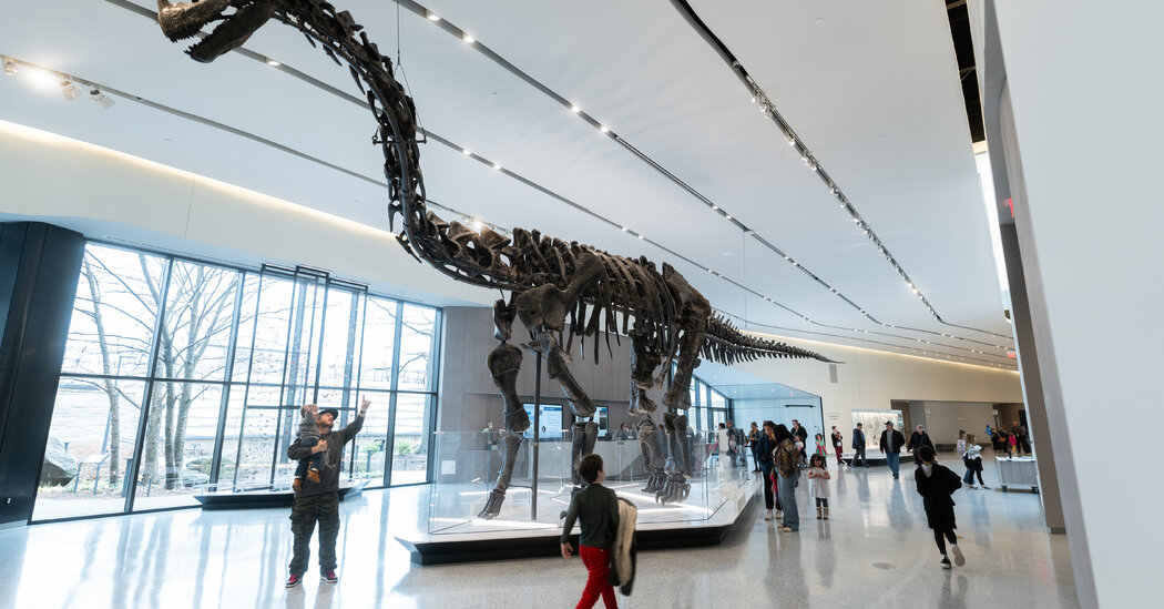 Museums Are Changing How They Bring Natural Sciences to Life