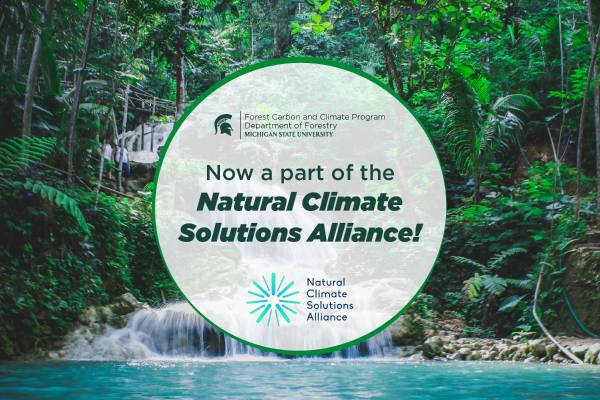 Leading Actors Join Forces to Advance Science-based Natural Climate Solutions – Forest Carbon and Climate Program