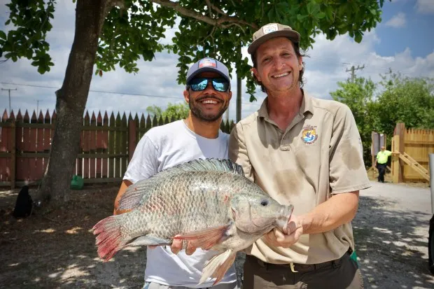 Angler Gabriel Jimenez and biologist Edward Perri of the U.S. Fish and Wildlife Service hold an 8-pound Nile tilapia that Jimenez caught during the 5th Annual Removal of the Swamp Invaders Fishing Tournament. The tournament, hosted by Jeff Corwin, hopes to bring attention to the fact that nonnative species are damaging native species such as bluegill and largemouth bass. (Bill Kearney/South Florida Sun Sentinel)