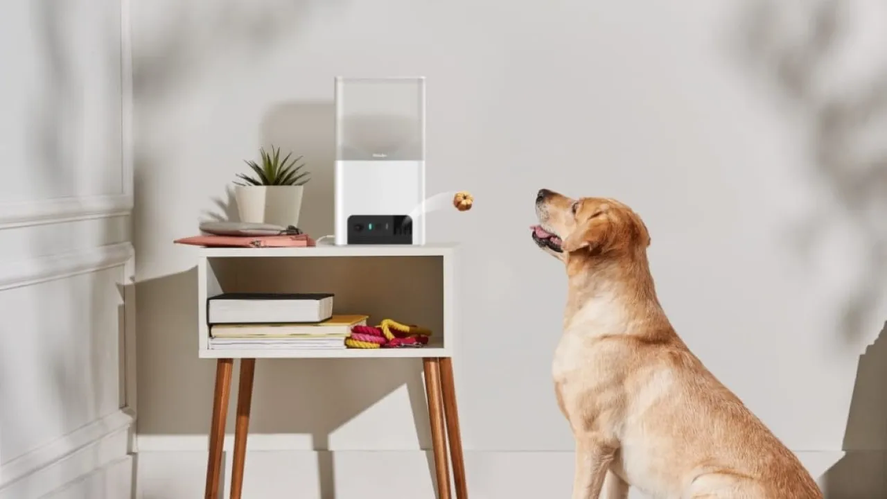 Petcube Pet Camera 