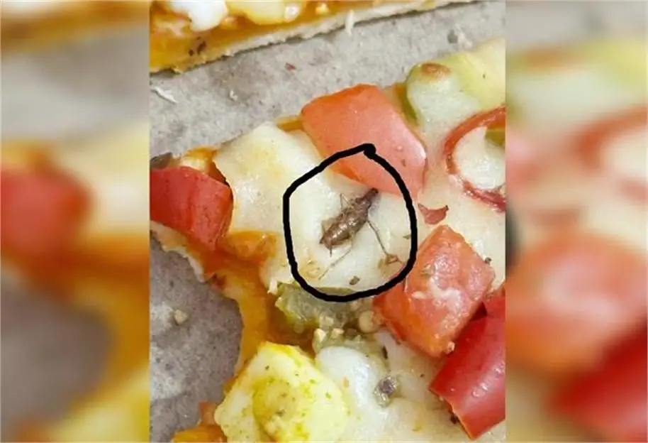 cockroach found while eating pizza