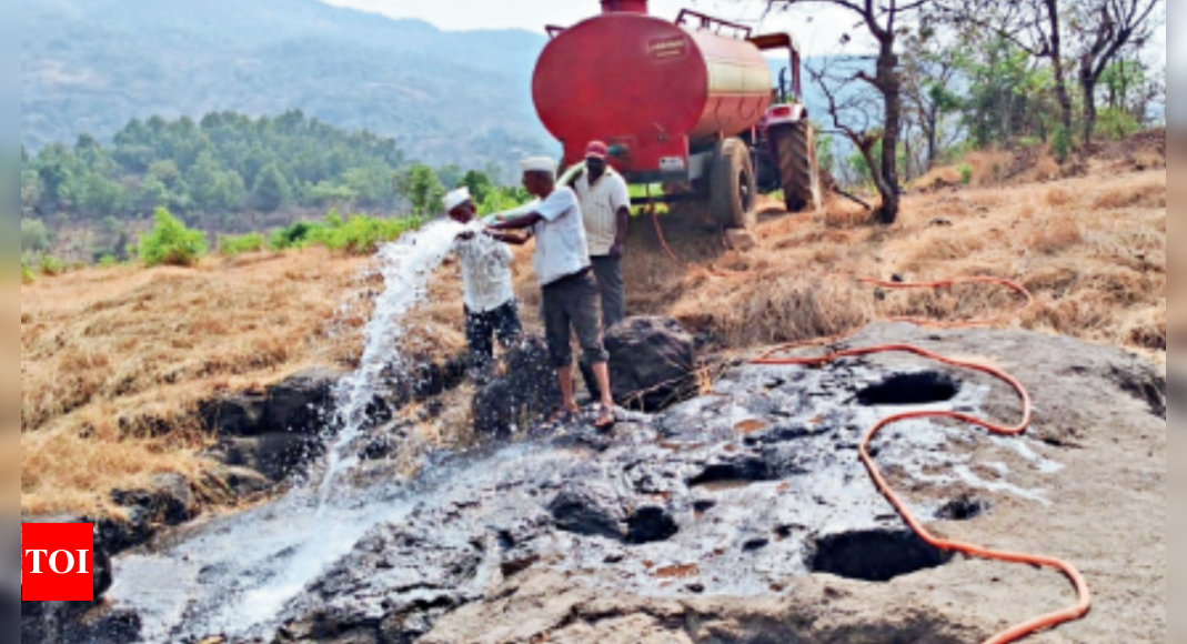 Hot weather increases forest fires, human-wildlife conflict: Officials | Pune News