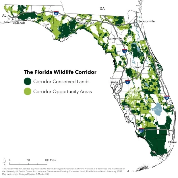 The Florida Wildlife Corridor. Currently, 10 million acres are protected and 8 million are still up for grabs. (Courtesy Florida Wildlife Corridor Foundation)