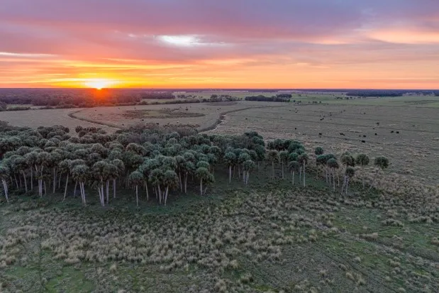 The sun sets over Syfrett Ranch, a parcel of protected that that is within the Florida Wildlife Corridor north of Lake Okeechobee. (Photo by Lauren Yoho / Wildpath, @leyoho and @wildpath)