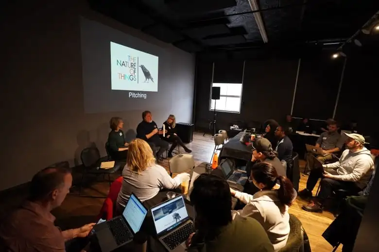 Group of people listening to a panel on pitching