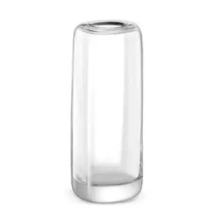 Glass vase