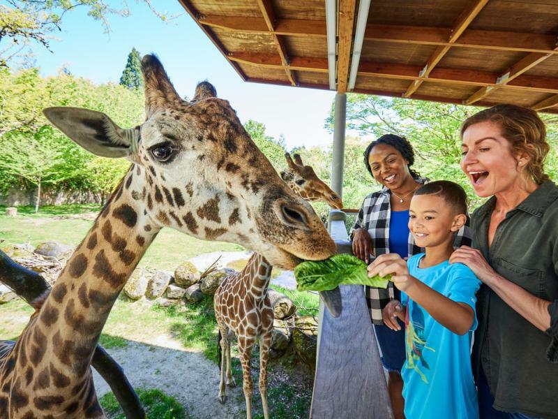 The best zoos in the U.S. for all kinds of sightings