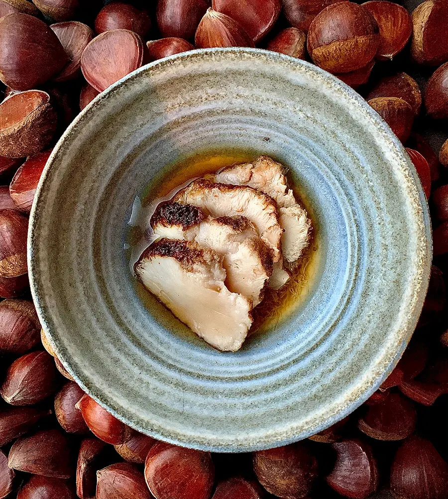 VegNews.Ark.Lions-Mane-Mushroom-with-Kombu.-Photo-Credit_-BrettLavender