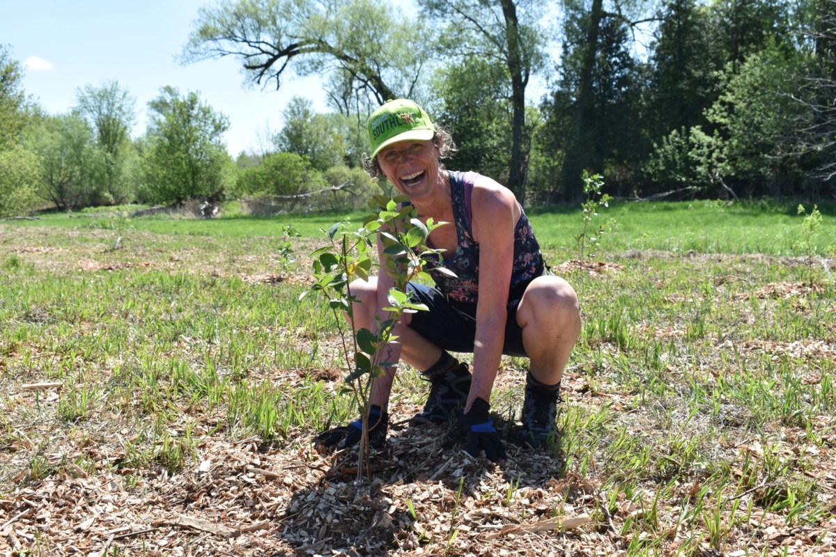 Nominate your environmental champion for a conservation award