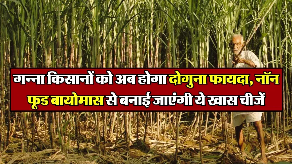 Sugar industry : गन्ना किसानों को अब होगा दोगुना फायदा, नॉन फूड बायोमास से बनाई जाएंगी ये खास चीजें