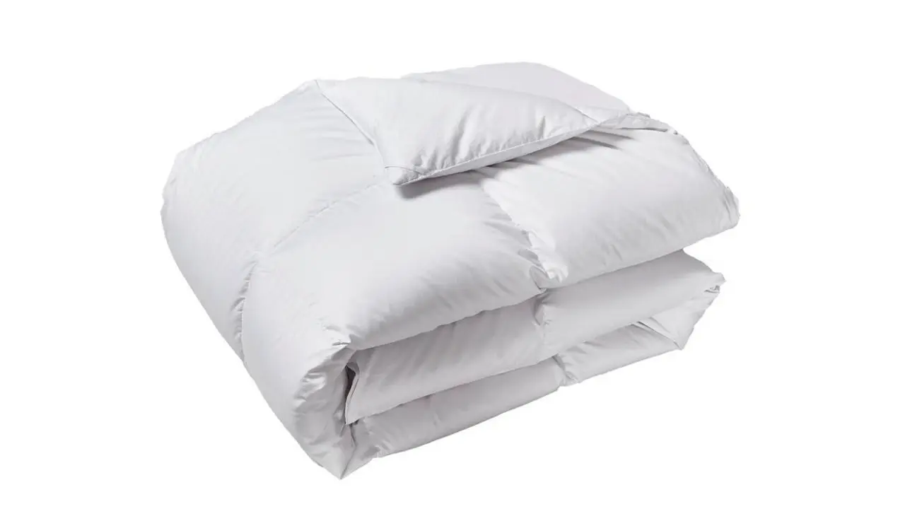 King 100% Cotton All Seasons Down and Feather Filled Comforter.jpg